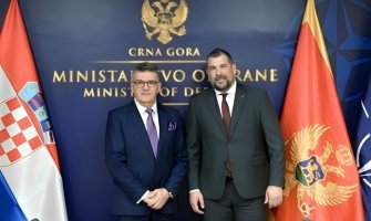 Krapović sa Grubišićem: Apsolutna podrška Hrvatske evropskom putu Crne Gore