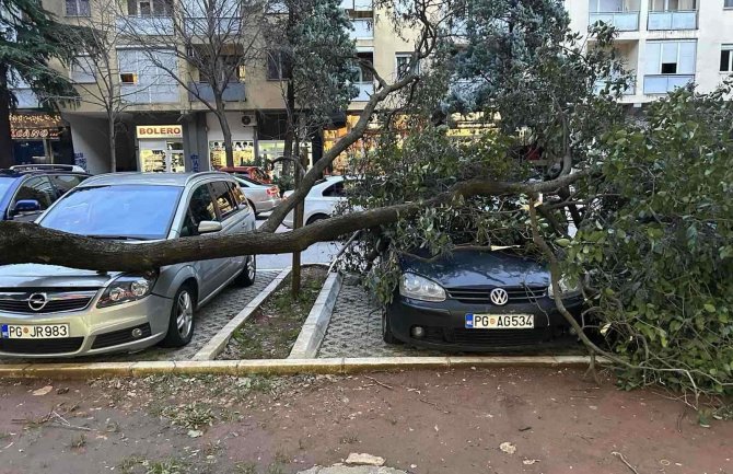 Podgorica: Vjetar lomi stabla