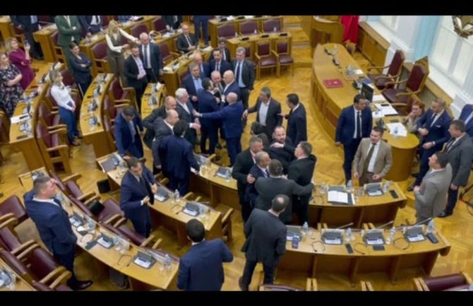 Umalo tuča na sjednici Skupštine, poslanici razdvajali Kneževića i Hutera