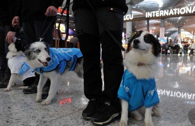 Psi umjesto bensedina na aerodromu u Istanbulu 