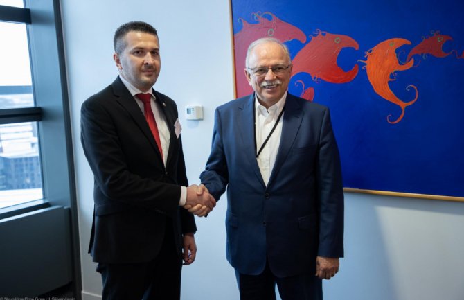 Pejović sa potpredsjednikom EP Papadimulisom: EU integracije apsolutni spoljnopolitički cilj Crne Gore