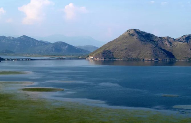 Klimatske promjene ugrozile i živi svijet na Skadarskom jezeru