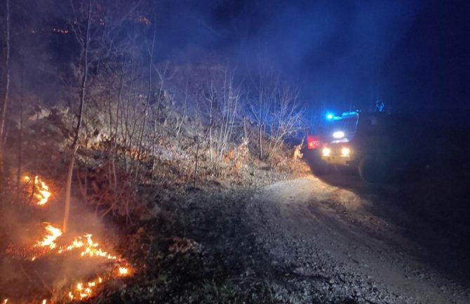 Služba zaštite i spasavanja Bijelo Polje za period januar- februar lokalizovala oko 40 šumskih požara