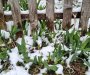 Proljećni snijeg na Durmitoru