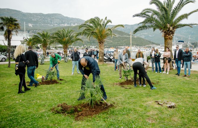 URA u Budvi akcijom sadnje drveća obilježila Dan planete Zemlje