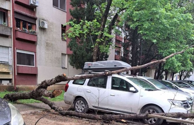Podgorica: U Bloku 5 stablo palo na automobile