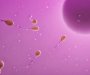 Francuski istraživači zabrinuti: Visok nivo herbicida u spermi opasan za reproduktivni sistem i neplodnost