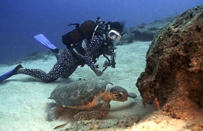 Pogledajte kako izbliza izgledaju gnijezda morskih kornjača na turskoj rivijeri