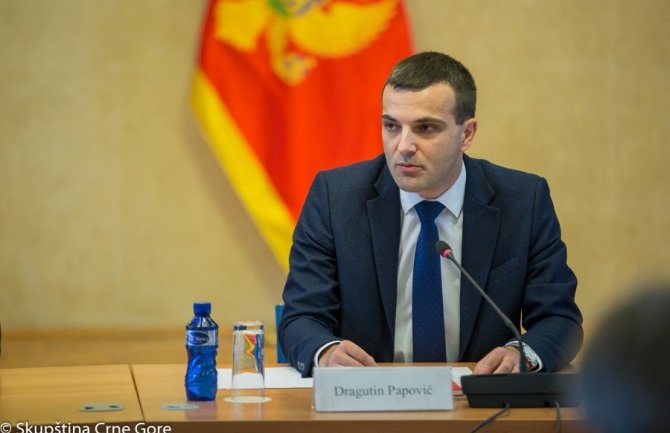 Papović: Rušilački akt prema Crnoj Gori, PES pokazuje da je dio velikosrpskog ideološkog fronta