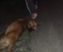 Određen pritvor Podgoričaninu: Vezao psa za vozilo i vukao ga po ulici