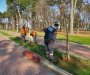 Podgorica: Zasađen novi drvored brijesta u Ulici kralja Nikole