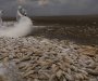 Više hiljada riba uginulo u jezeru u Meksiku