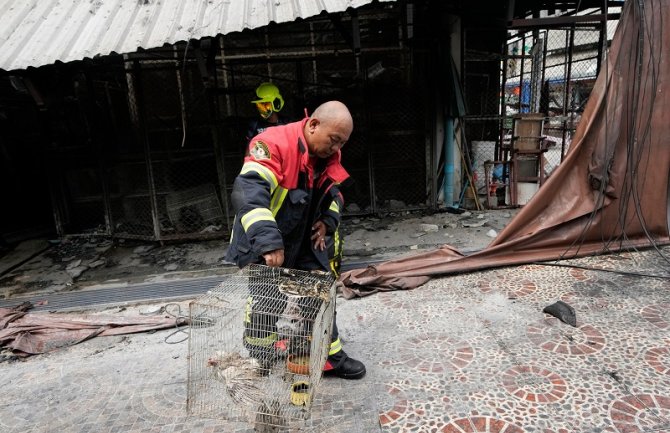 Više od 1.000 životinja izgorjelo u požaru na pijaci u Bangkoku; Očevici: Krici su bili jezivi