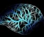 Nova metoda skeniranja mozga predviđa pojavu Alchajmerove bolesti i devet godina ranije