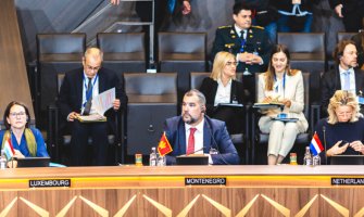 Krapović: Crna Gora ovogodišnjim budžetom premašuje dva odsto izdavanja za odbranu
