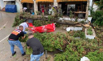 Nevrijeme u Crnoj Gori: Oborena stabla, demolirane plaže