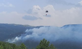 MUP, Opština i Služba za spasavanje: Požar u Pljevljima gasili smo sami