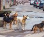 Podgorica: Zbog ujeda pasa lutalica za godinu i po isplaćeno 390.000 eura odštete