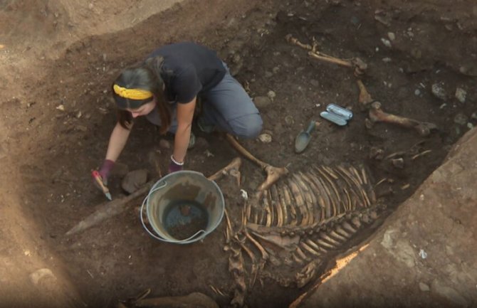 U Duklji pronađeni ostaci životinjske sahrane iz četvrtog vijeka