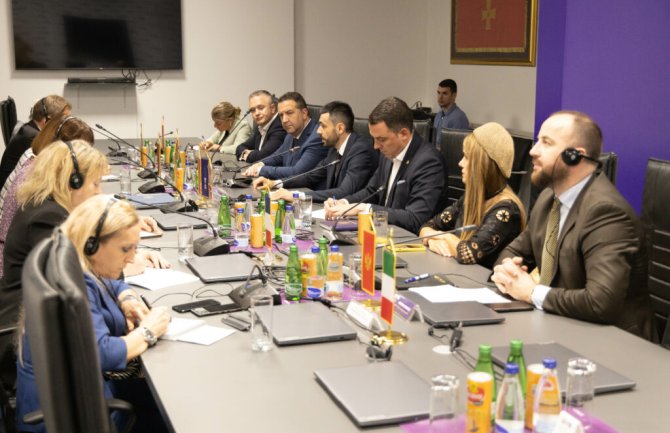 Živković sa Kvintom: Parlamentarna većina odaljava Crnu Goru od evropskog sistema vrijednosti, narušene institucije u oblasti pravosuđa i bezbjednosti