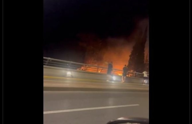 Podgorica: Požar u Njegoševom parku i na još deset lokacija